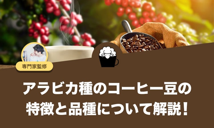 アラビカ種のコーヒー豆の特徴と品種について解説