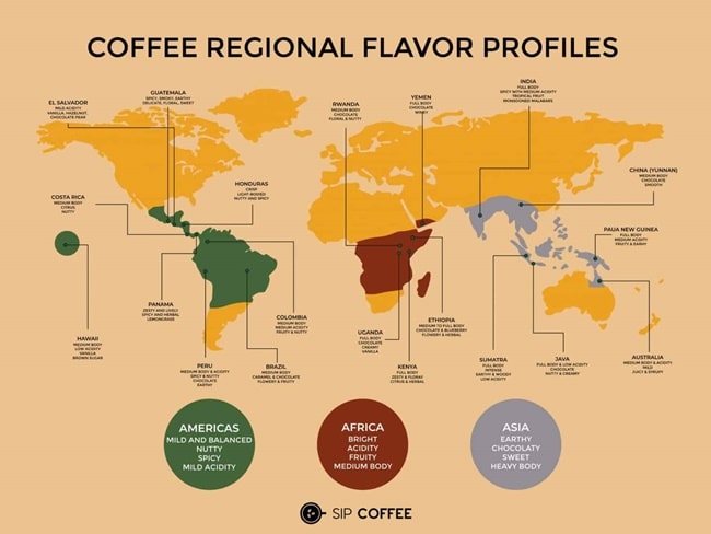 多くの種類が生まれたコーヒー豆