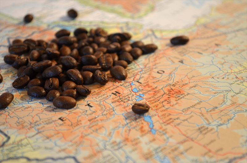 モカ　エチオピア　コーヒー豆