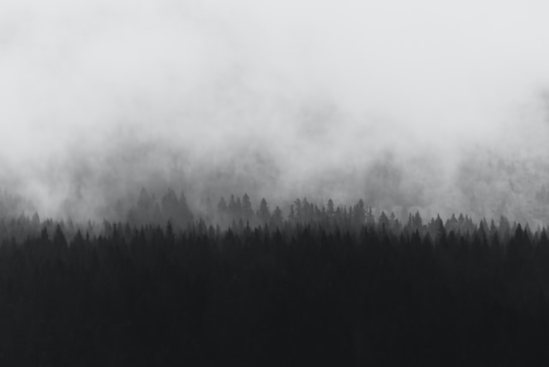 fog_005