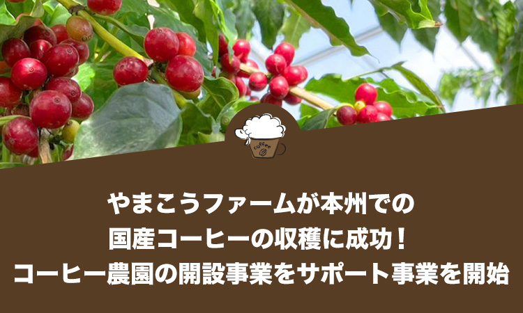 やまこうファームが本州での国産コーヒーの収穫に成功！コーヒー農園の開設事業をサポート事業を開始