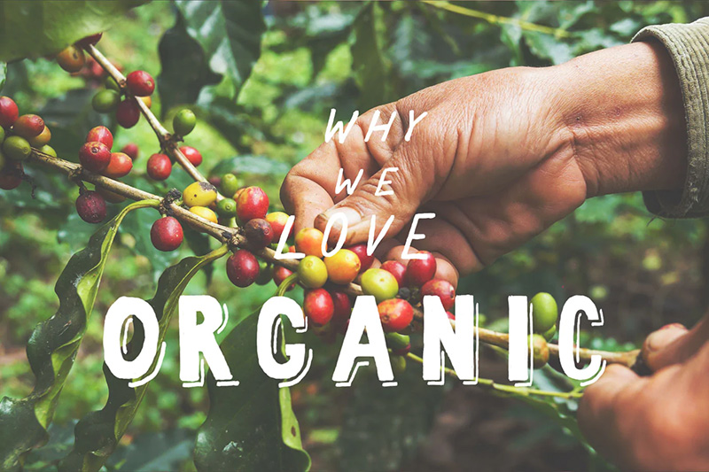 tokyocoffee_organic